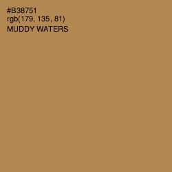 #B38751 - Muddy Waters Color Image